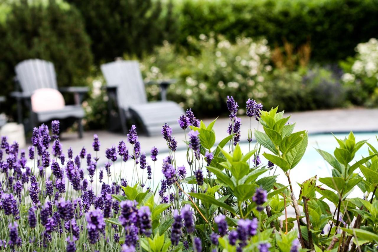 A Bascule Bed&Breakfast Maastricht Kanne Exterior foto